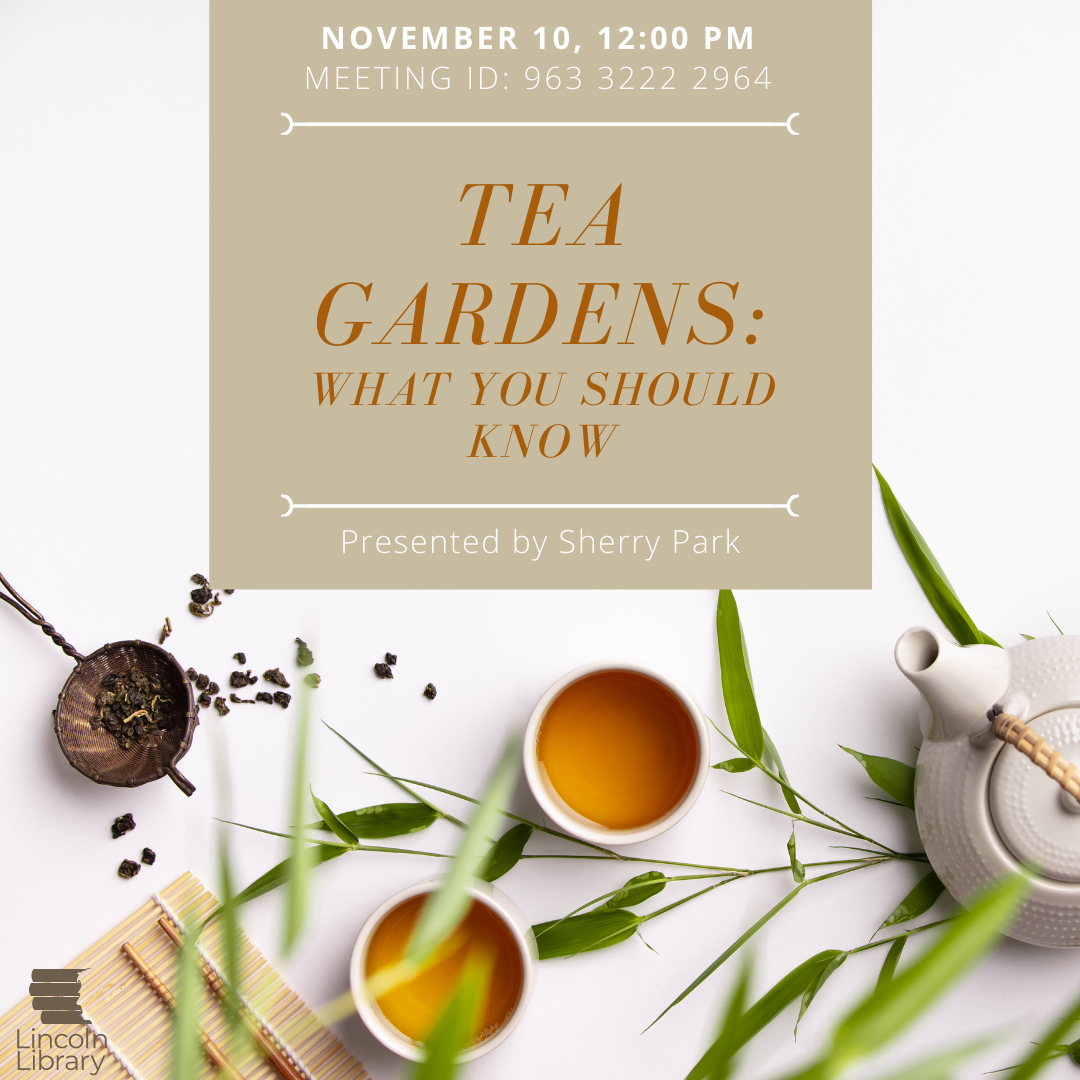 Tea Gardens What You Should Know Lincoln Library